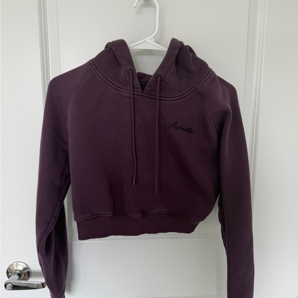 Alphalete Cropped Hoodie